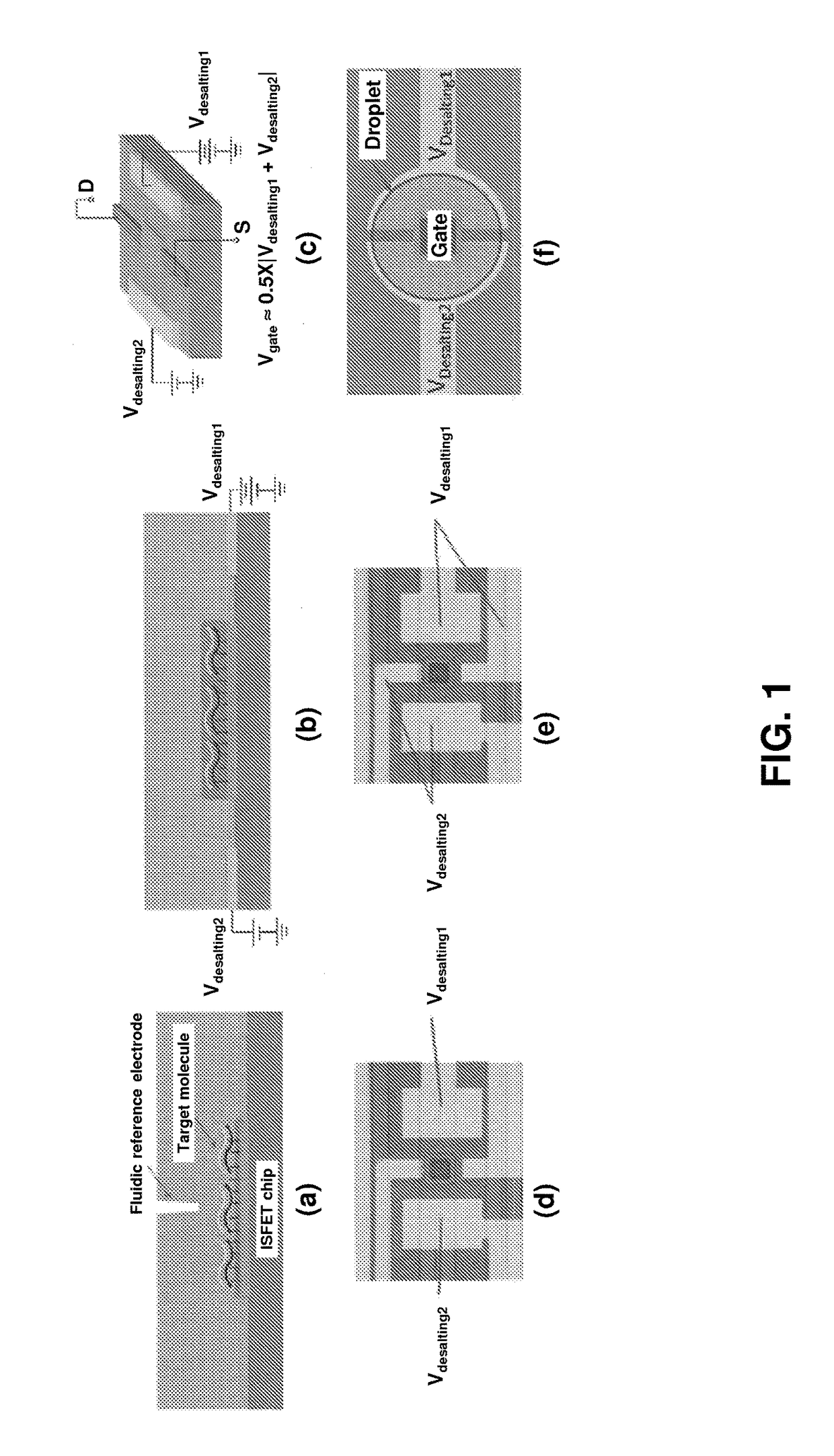 Label Free Analyte Detection by Electronic Desalting and Field Effect Transistors