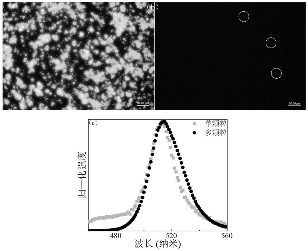 Perovskite quantum dot glass film and preparation method and application thereof