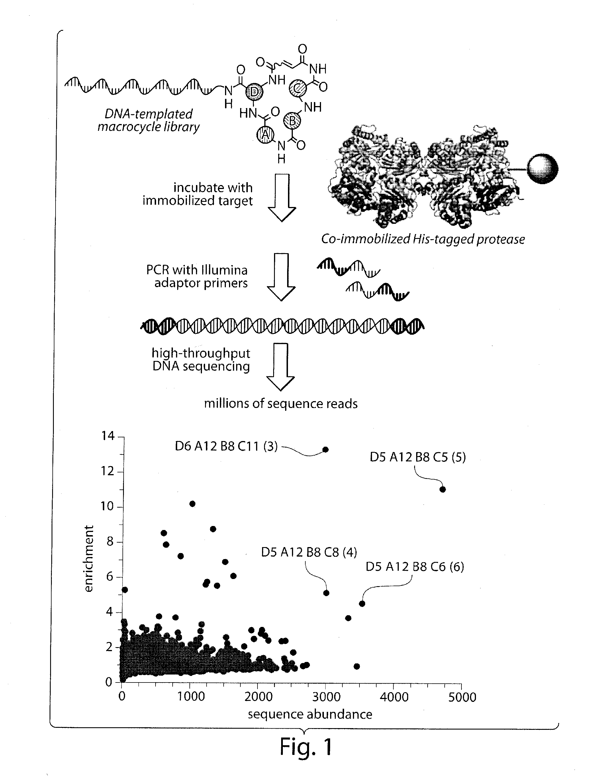 Macrocyclic insulin-degrading enzyme (IDE) inhibitors and uses thereof