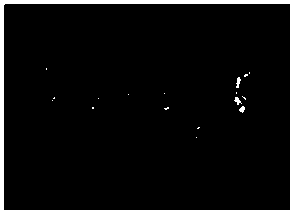 Andrographolide nanometer suspension agent