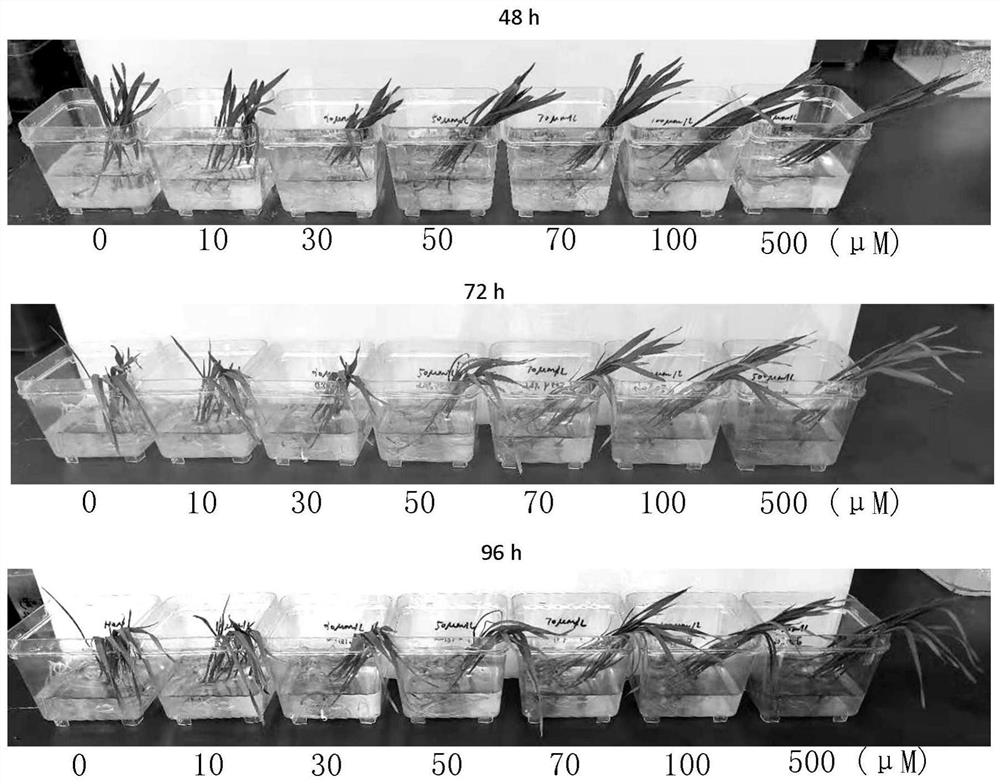 Plant drought-resistant and yield-increasing agent for s