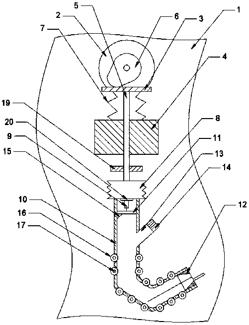 Broad bean cutting device