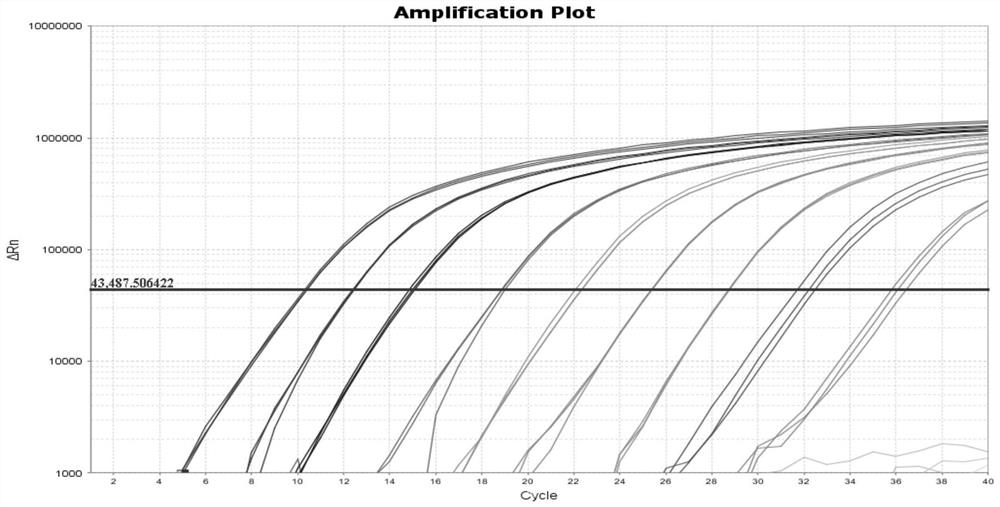 TaqMan probe fluorescent quantitative PCR kit for Nipah virus and application thereof