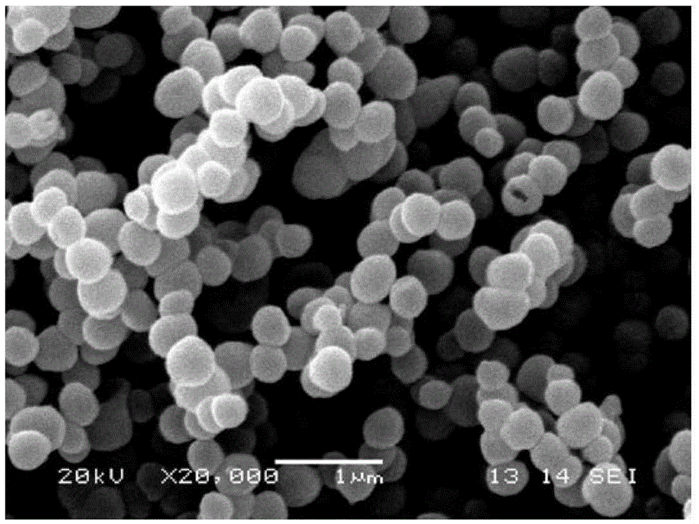 Gas-sensor nanometer sensitive material, slurry with gas-sensor nanometer sensitive material, preparing method of gas-sensor nanometer sensitive material, preparing method of slurry and application of gas-sensor nanometer sensitive material