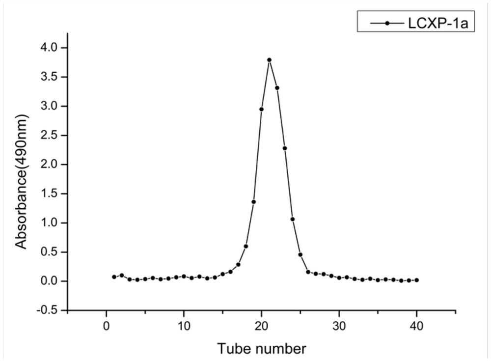 Ligusticum wallichii homogeneous polysaccharide as well as extraction method and application thereof