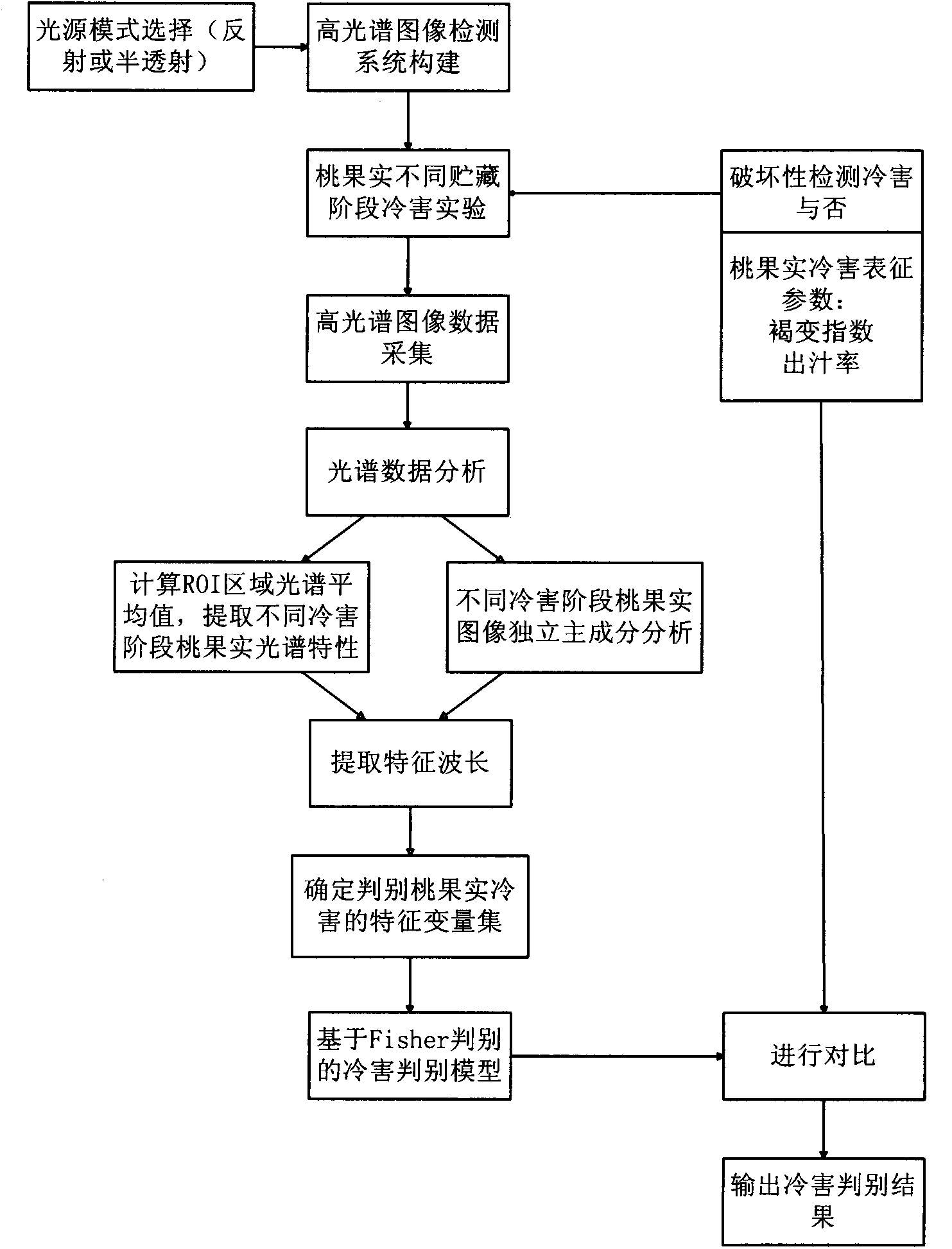 Device and method for detecting cold damage of peach fruits based on hyperspectral images