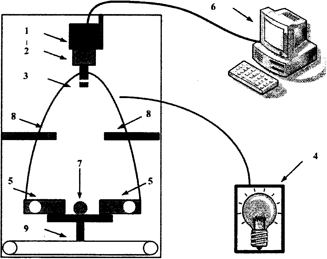 Device and method for detecting cold damage of peach fruits based on hyperspectral images