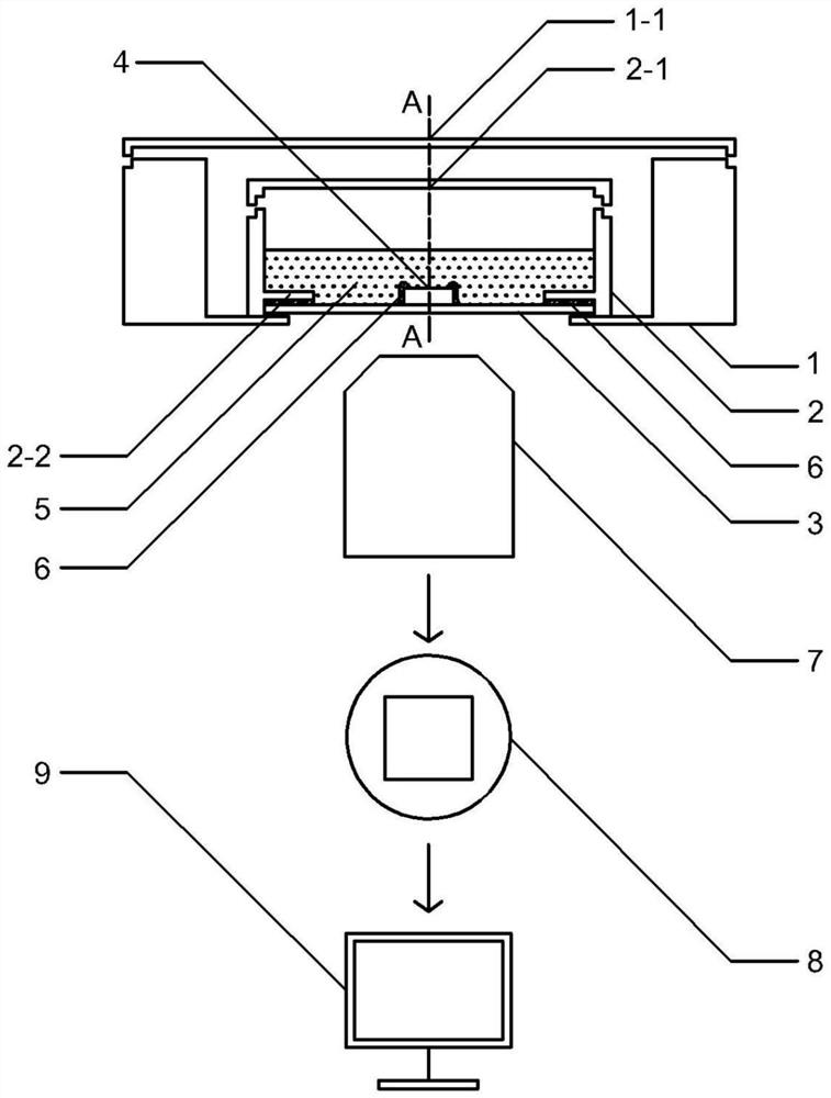 An in-situ characterization device and characterization method for the interaction between microorganisms and solid surfaces