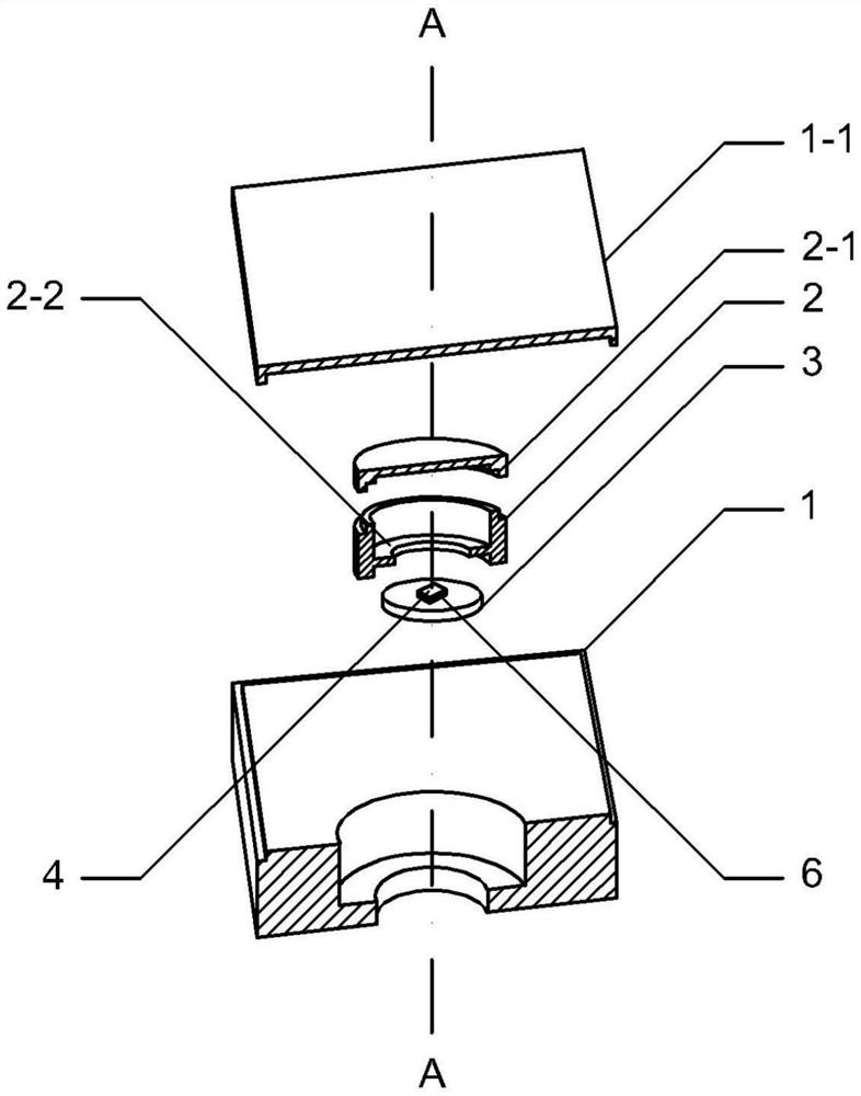 An in-situ characterization device and characterization method for the interaction between microorganisms and solid surfaces