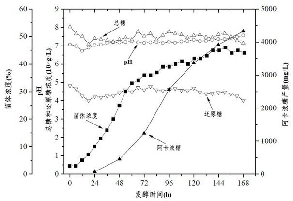 Simple fermentation method for acarbose