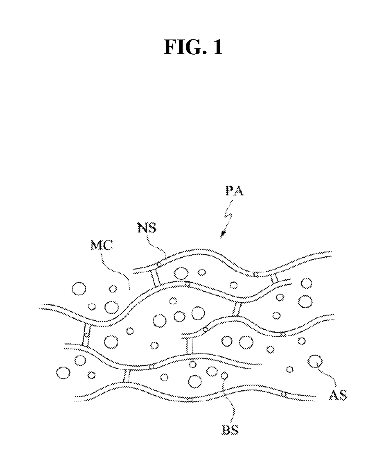 Culturing patch, culturing method, culture test method, culture test device, drug test method, and drug test device