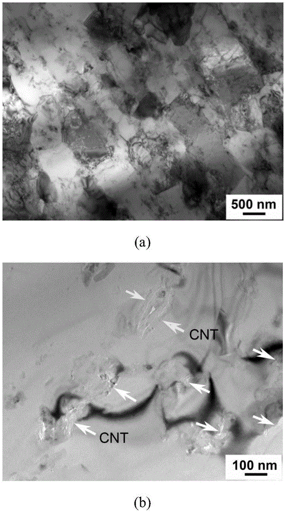 Preparation method for carbon nano tube reinforced aluminum matrix composite material