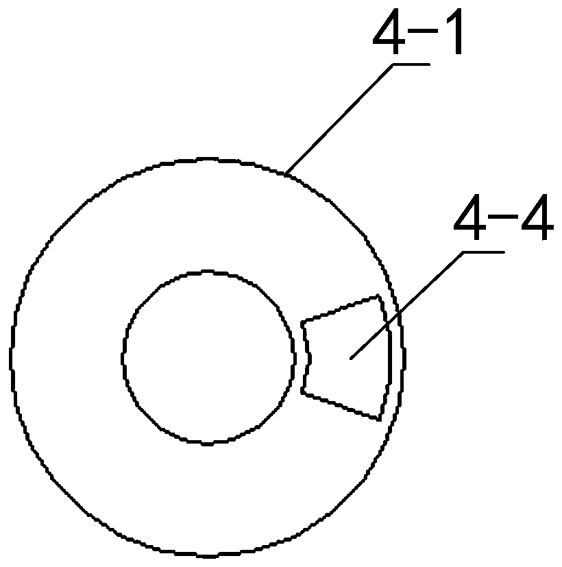 A cloth feeding device and a biomass gasification furnace