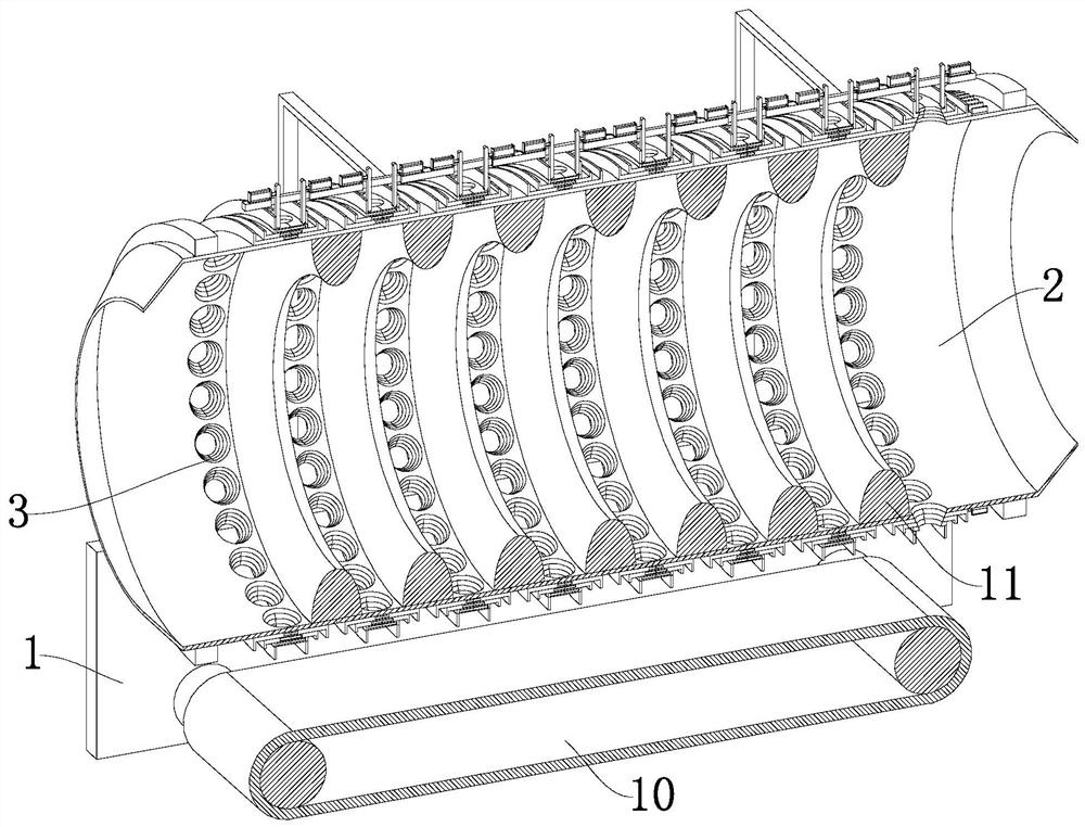 Agaricus bisporus grading device