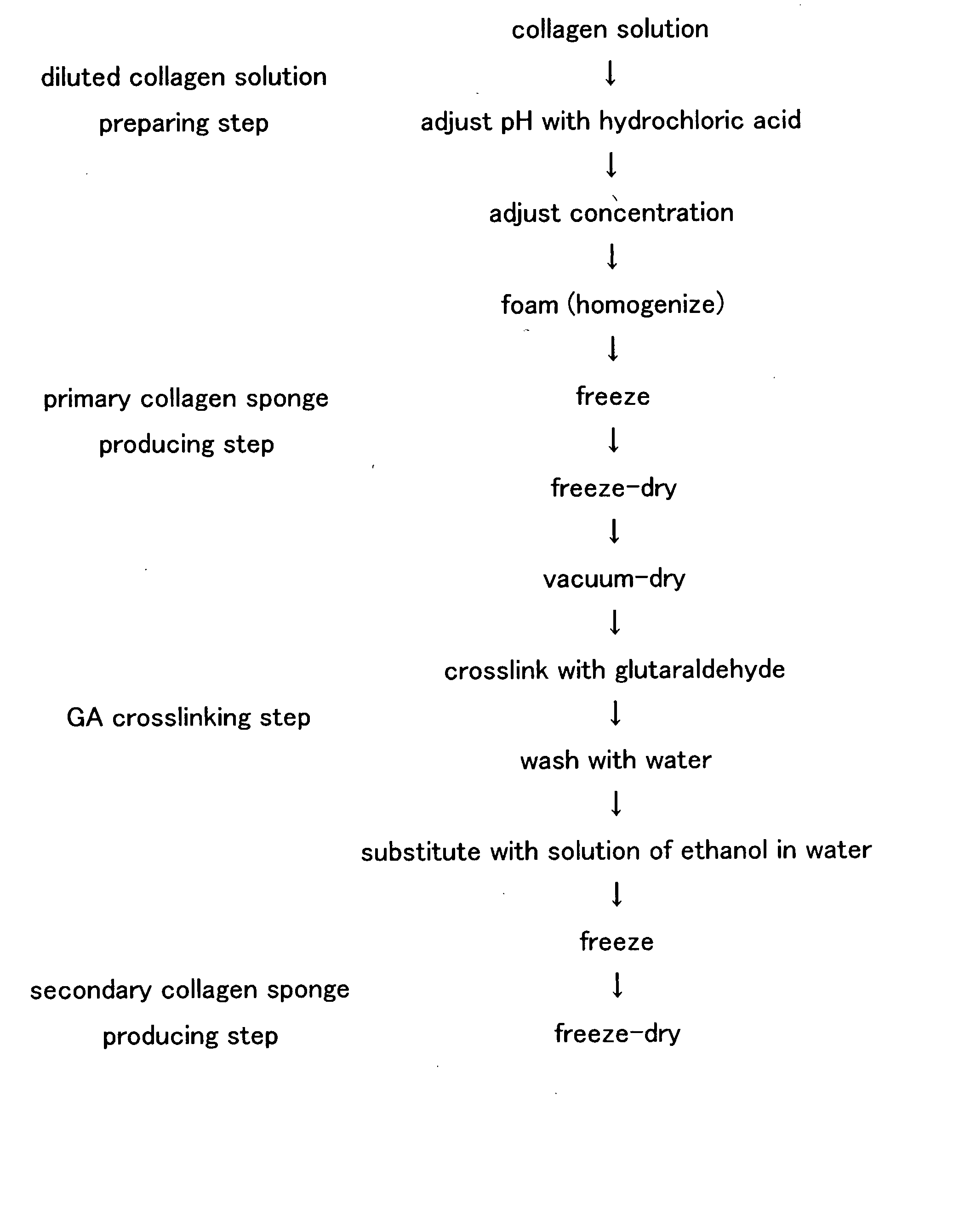 Process For Producing Collagen Sponge, Process For Producing Artificial Skin, Artificial Skin And Cell Tissue Culture Substrate