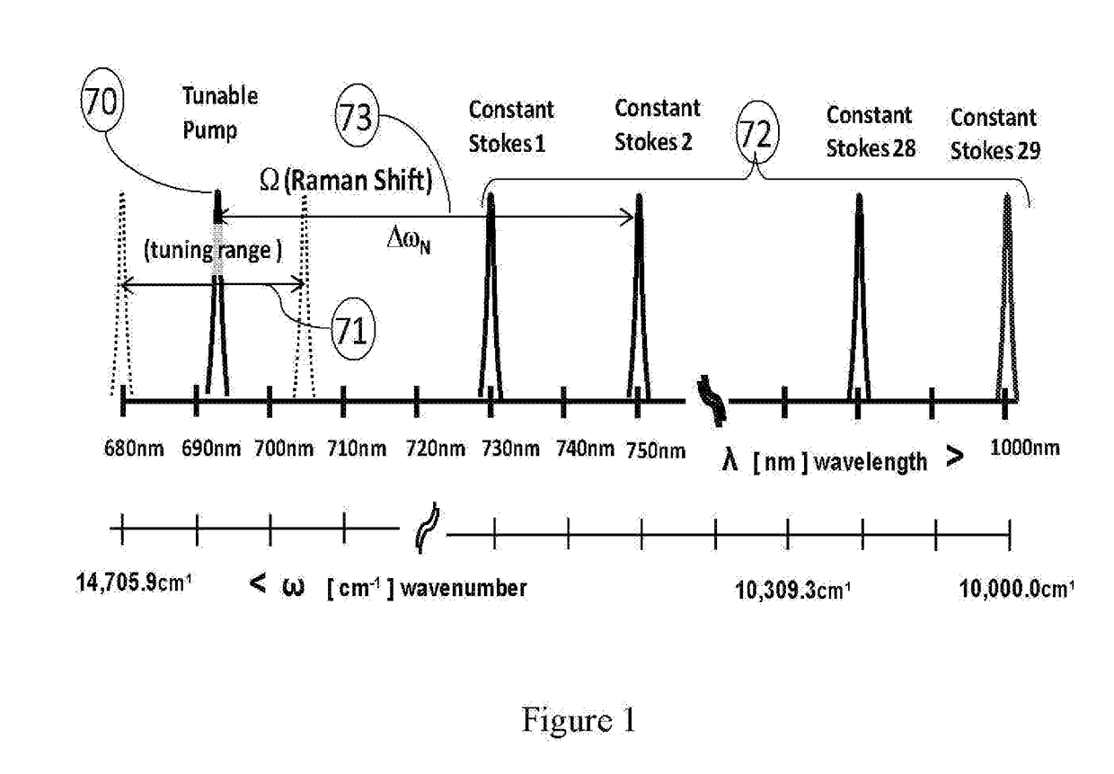 A system for a stimulated raman scattering (SRS) spectrophotometer and a method of use thereof