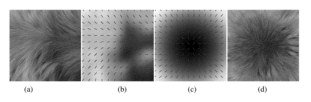 Method, Apparatus, Storage Medium and Device for Controlled Synthesis of Inhomogeneous Textures