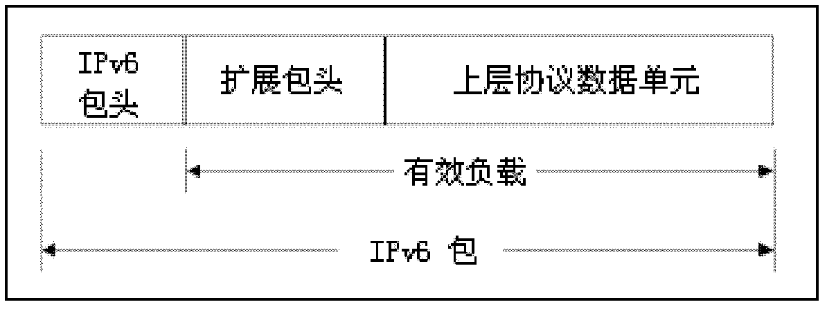 IPSec VPN communication service processing method and system under IPv6 environment