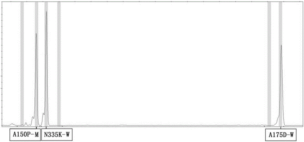 Method and kit for detecting human fructosediphosphate aldolase B gene