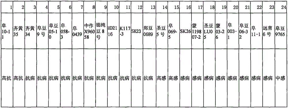 Primer for auxiliary identification of soybean anti-mosaic virus SC7 and identification method thereof