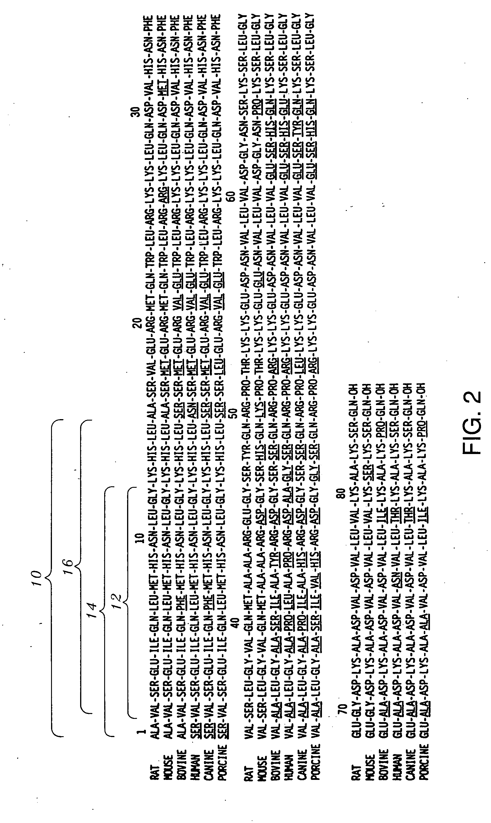 Antibodies and peptide antigens for producing antibodies having a selective binding specificity to bioactive intact parathyroid hormone (PTH) 1-84