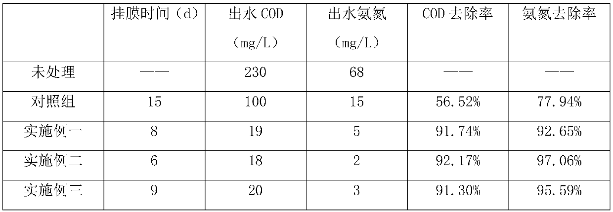 Nitrogen removal and phosphorus removal active biological carrier for sewage treatment, and preparation method thereof