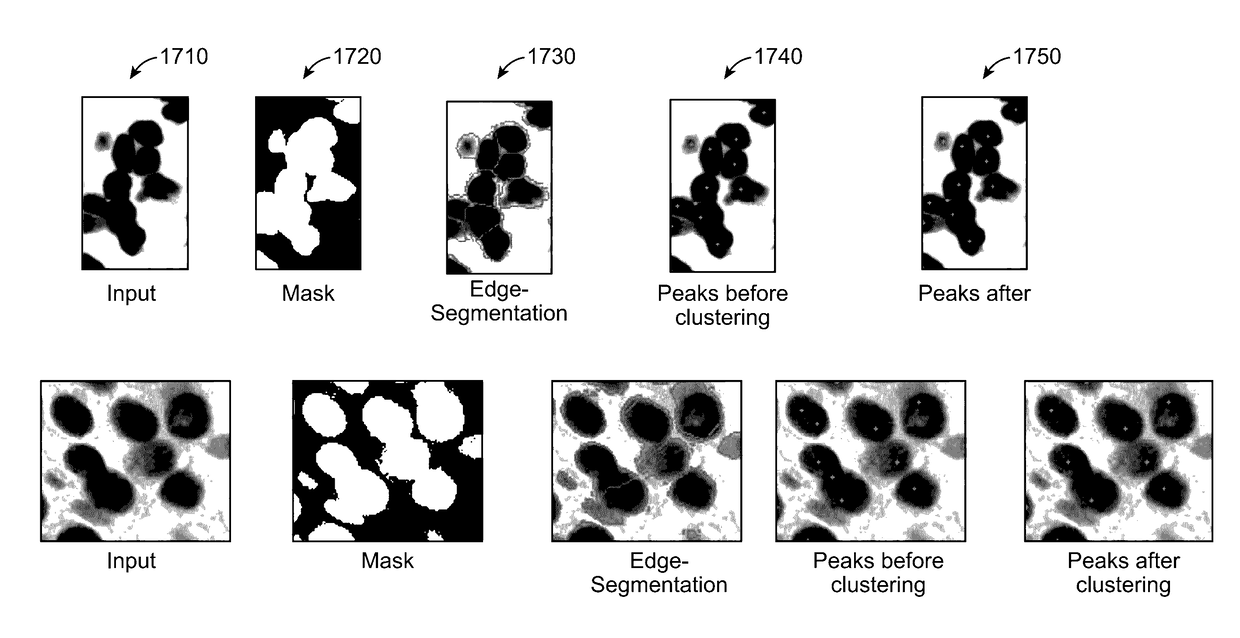 Method and system for automated analysis of cell images