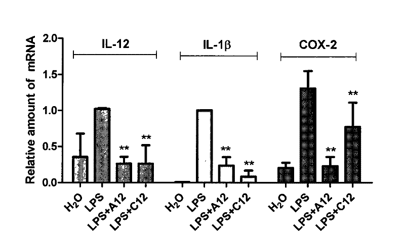 Application of 2(ammonia alkyloxy) phenyl pentadiene ketone compound in preparation of drugs for treating chemical ache and/or immunologic injury