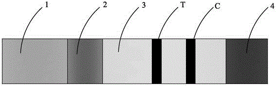 Human h-fabp colloidal gold detection test paper and preparation method thereof