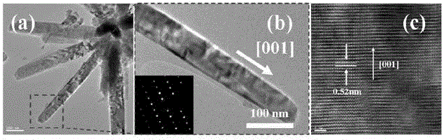 Flower-like multi-level zinc oxide support framework and its preparation method and application