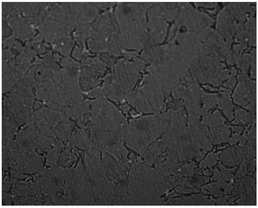 Steel spring surface full-decarburization nondestructive testing method