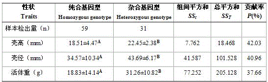 SNP primers for early screening strongylocentrotus intermedius fine variety and screening method