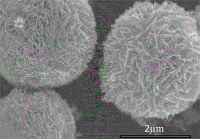 Flower-shaped tungsten oxide nanometer material and preparing method thereof