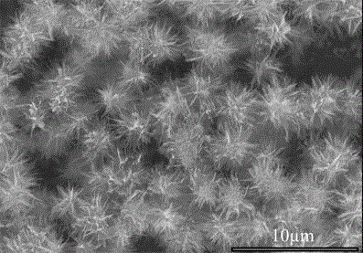 Flower-shaped tungsten oxide nanometer material and preparing method thereof