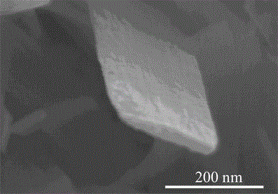 Flower-shaped tungsten oxide nanometer material and preparing method thereof