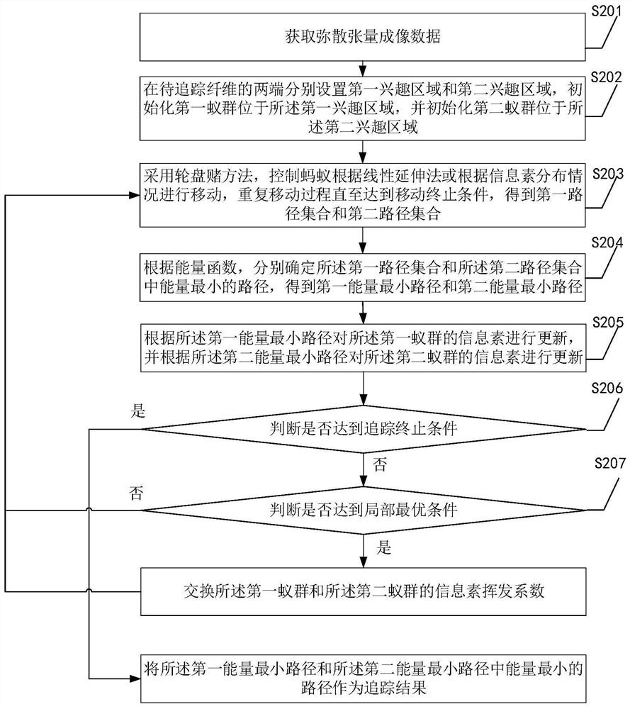 Brain white matter fiber tracking method based on bidirectional ant colony algorithm of exchange mechanism