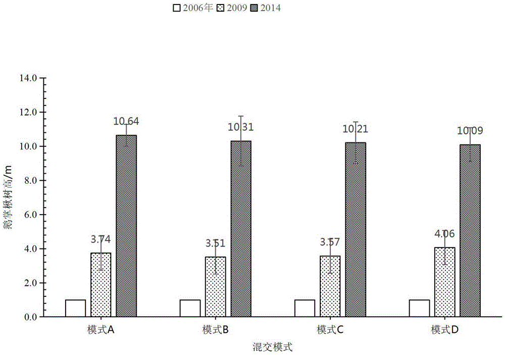 Building method for sweetgum and liriodendron mingled forest