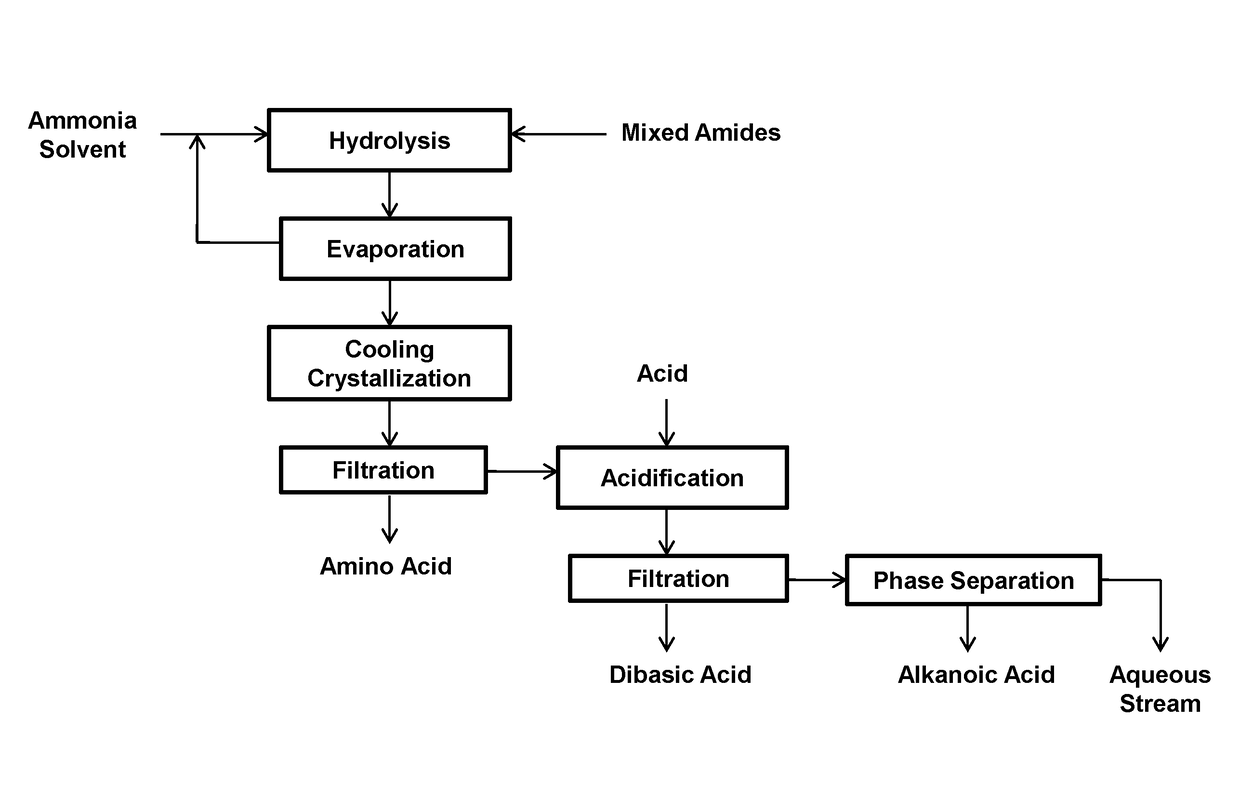 Process for producing long chain amino acids and dibasic acids