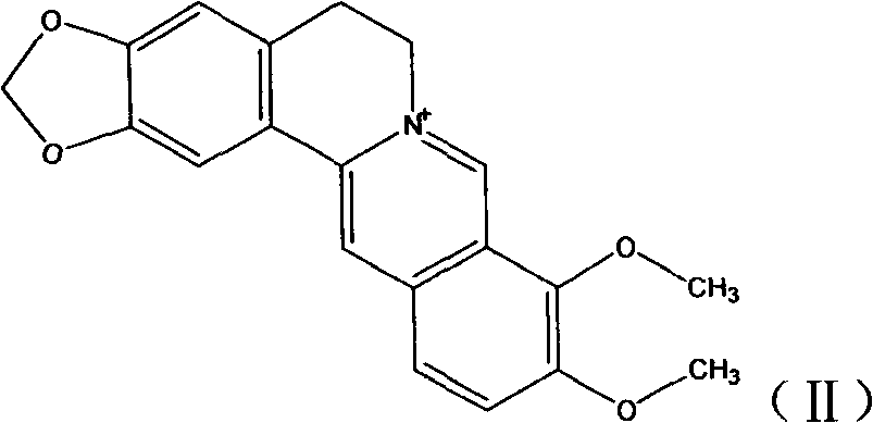 Novel berberine 9-position coupled cholic acid derivative and preparation method thereof