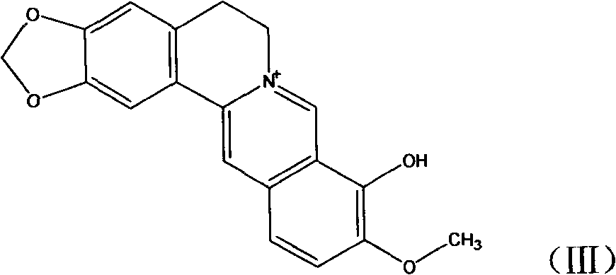 Novel berberine 9-position coupled cholic acid derivative and preparation method thereof