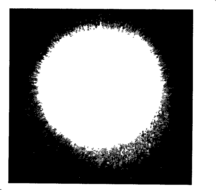 Mg, Hf and Fe three-doping lithium niobate crystal and method for preparing the same