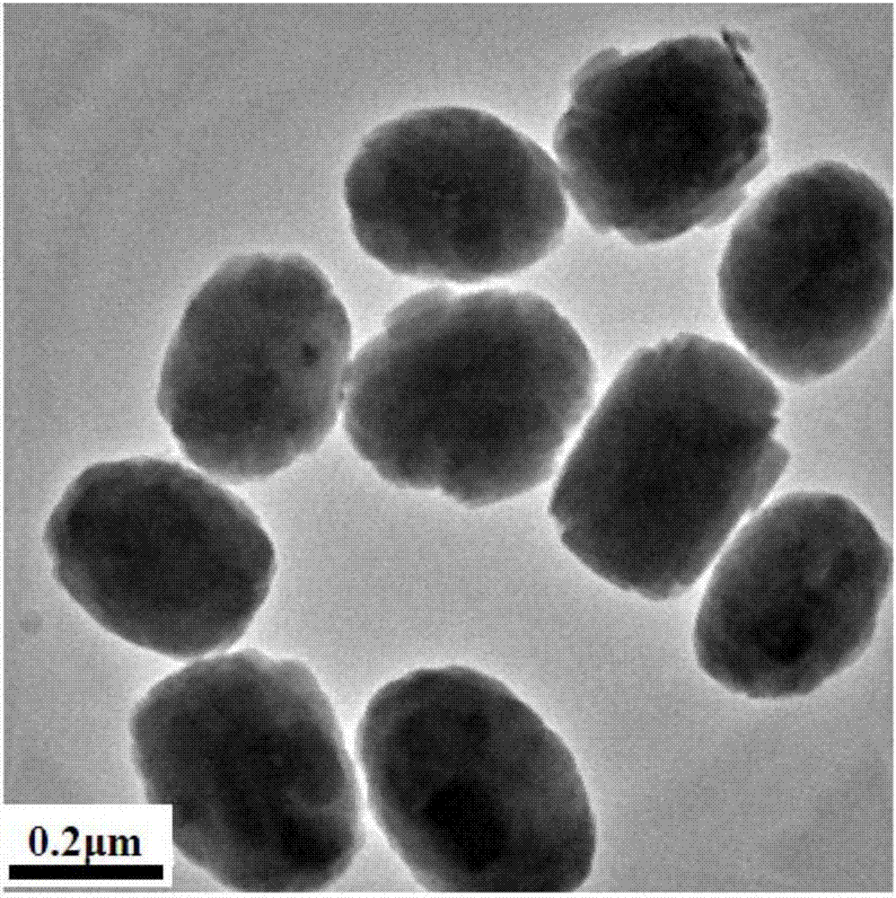 Titanium silicon molecular sieve, synthetic method and applications thereof, and cyclic ketone oxidation method