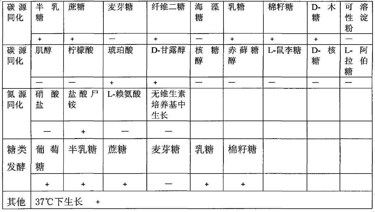 Preparation of high-quality saccharomycetes and milk beer beverage thereof