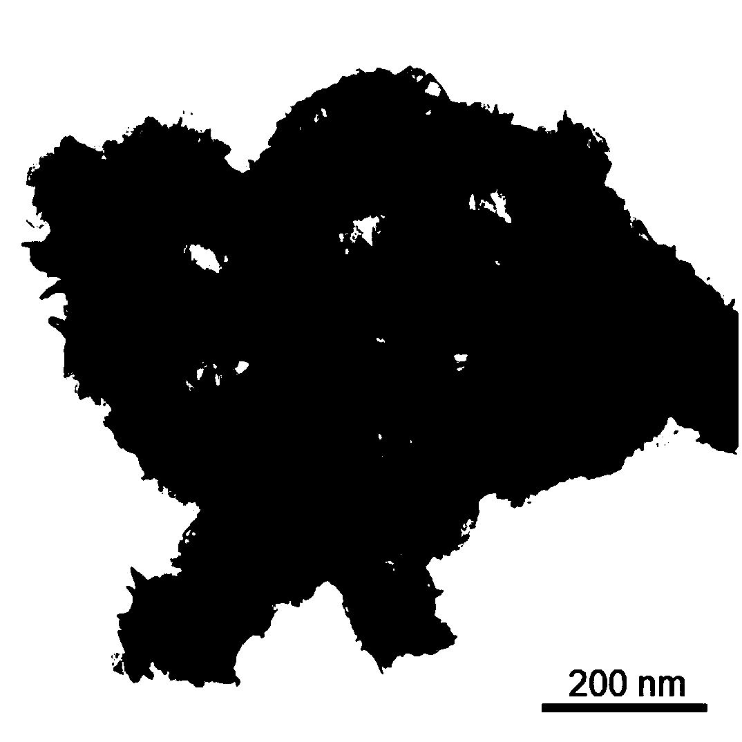 Preparation method of N,P-codoped three-dimensional Co nanoflower, obtained material and application