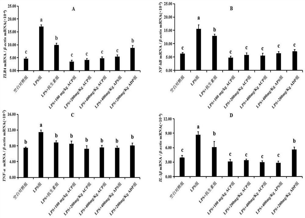 Application of antrodia camphorata polysaccharide in preparation of anti-LPS stress feed for yellow feather broilers