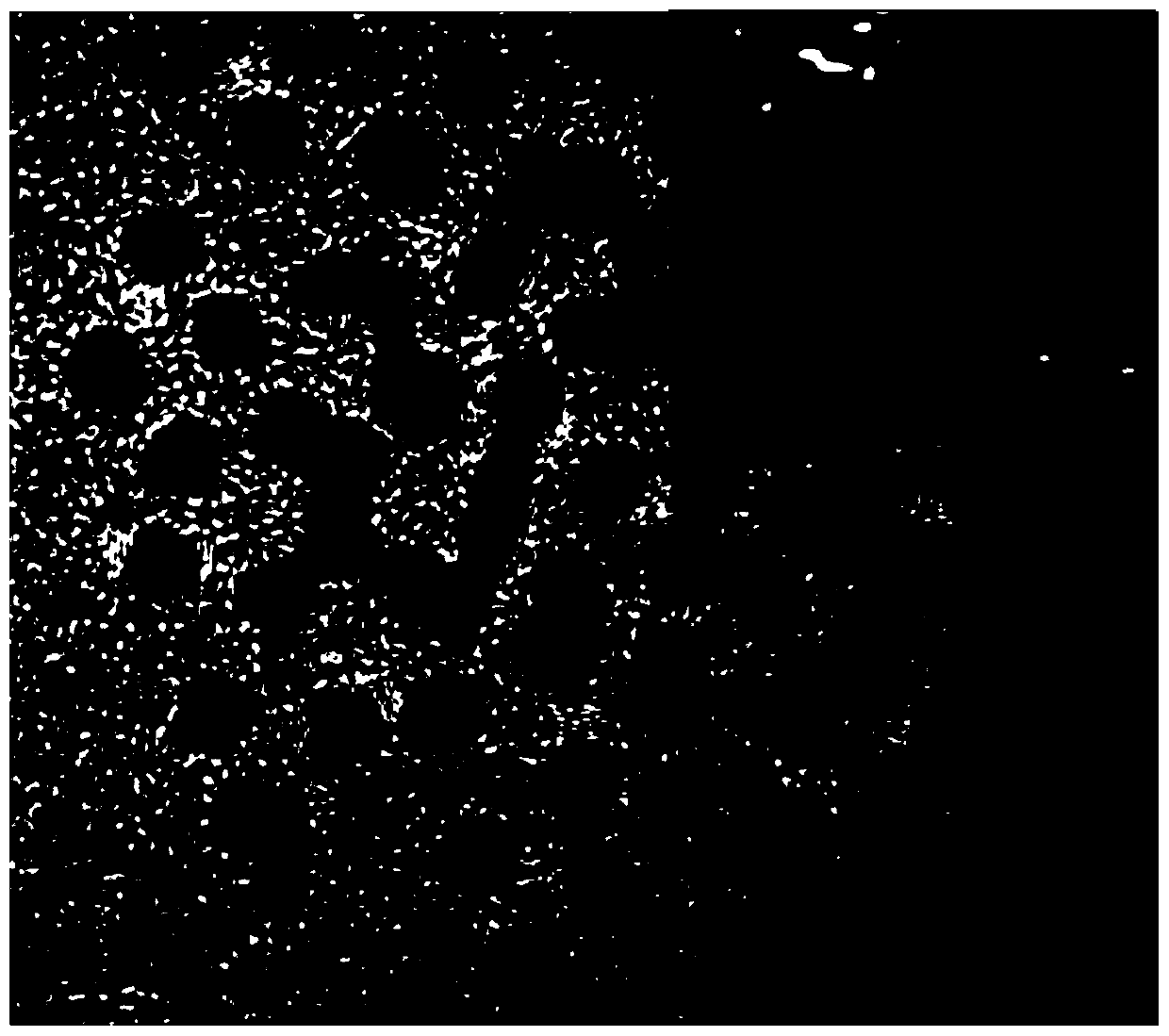 Tumor microenvironment response type nucleus-targeting platinum nanoparticles as well as preparation method and application