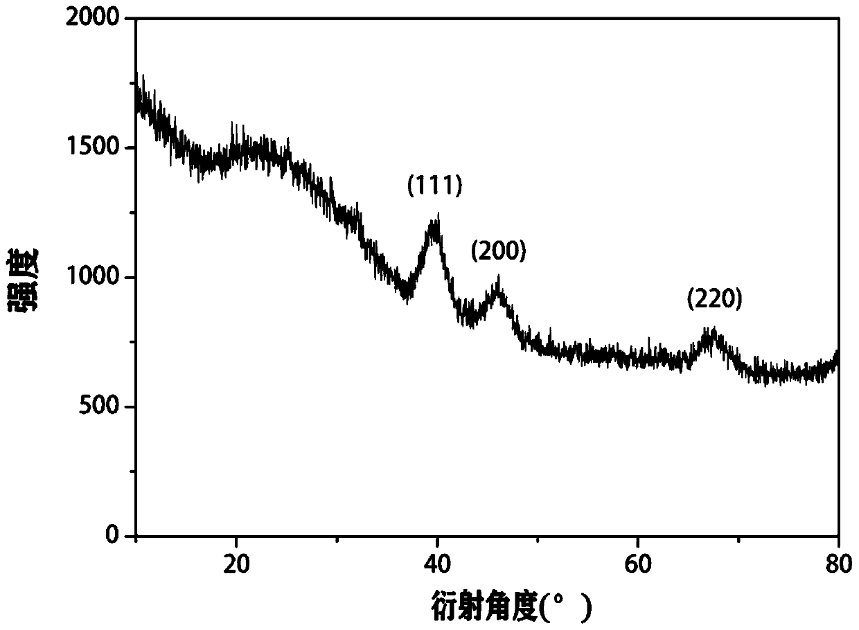 Tumor microenvironment response type nucleus-targeting platinum nanoparticles as well as preparation method and application