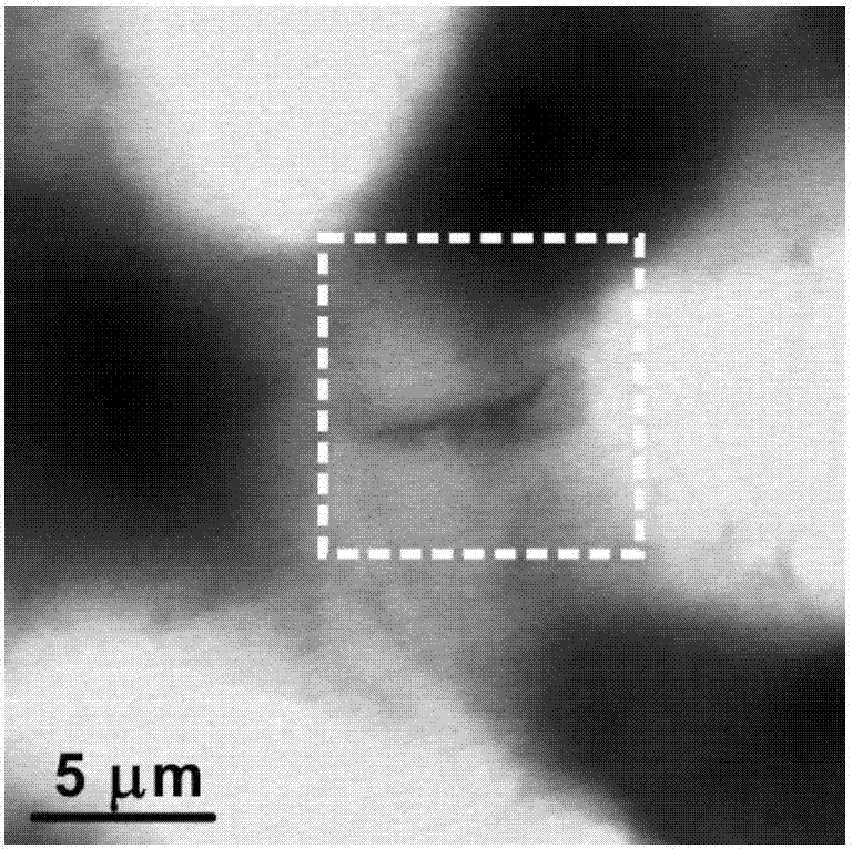 X-ray genetic marker probe based on synchrotron light source and preparing method and application thereof