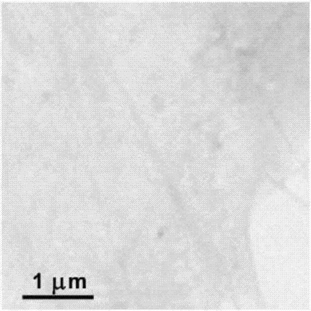 X-ray genetic marker probe based on synchrotron light source and preparing method and application thereof