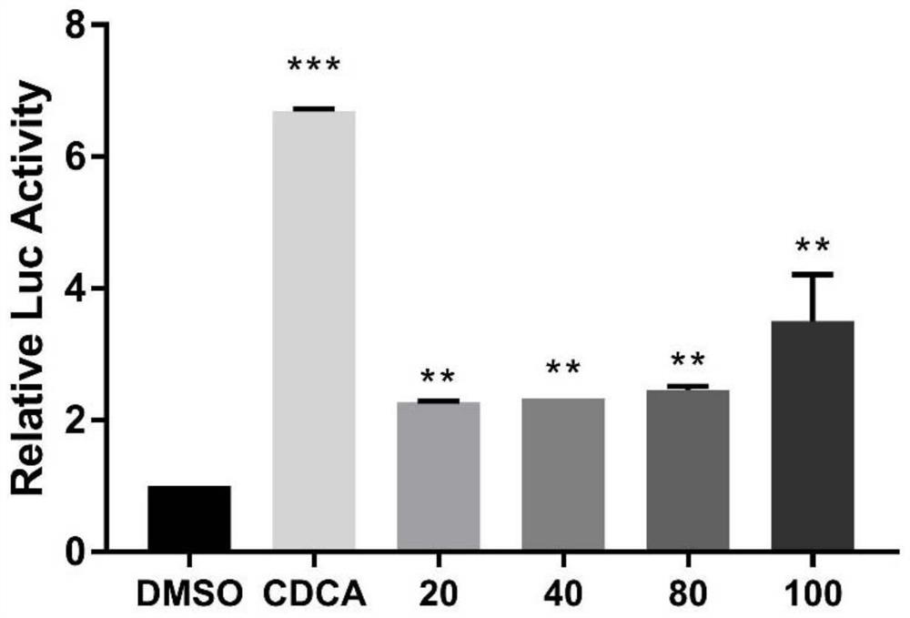 New application of Apiosylskimmin in preparation of medicine for treating cholestasis